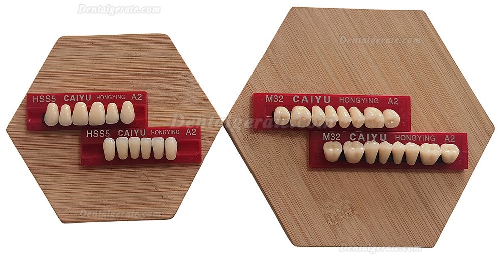 Caiyu Hongying Zahnprothesen aus Dentalharz (Dreischichtfarbe) A1/A2/A3/A3.5/A4